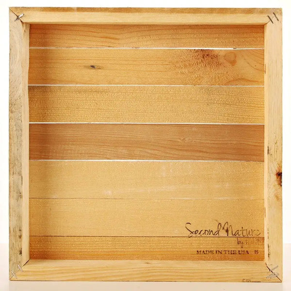 Bluebird Of Happiness Sign