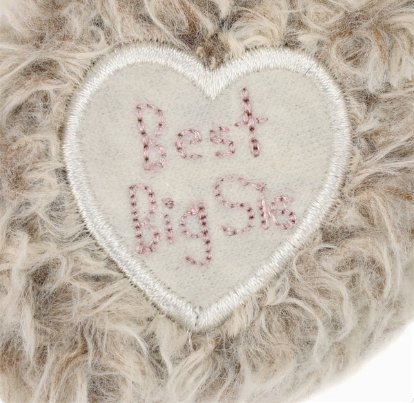 New Kid Gift Big Sister