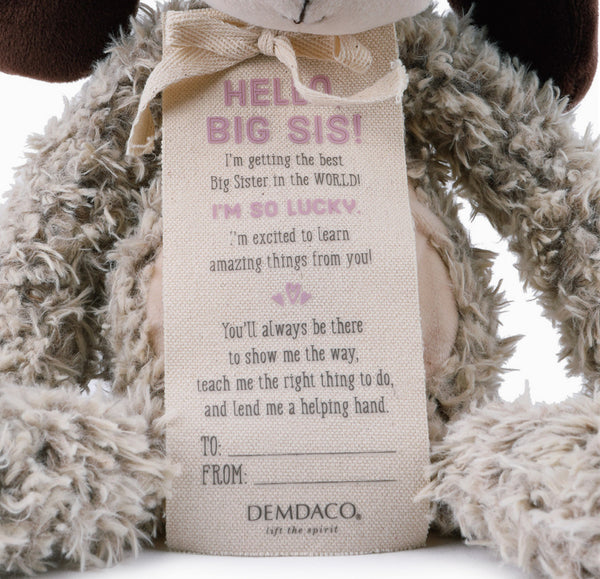 New Kid Gift Big Sister