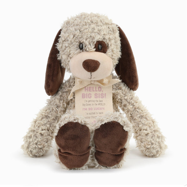 New Kid Gift Big Sister