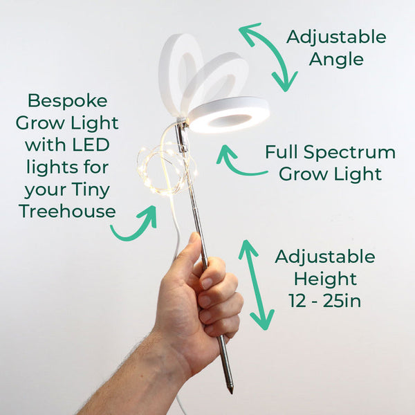 Island Cabana & Light Kit