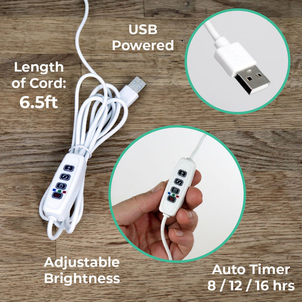 Island Cabana & Light Kit