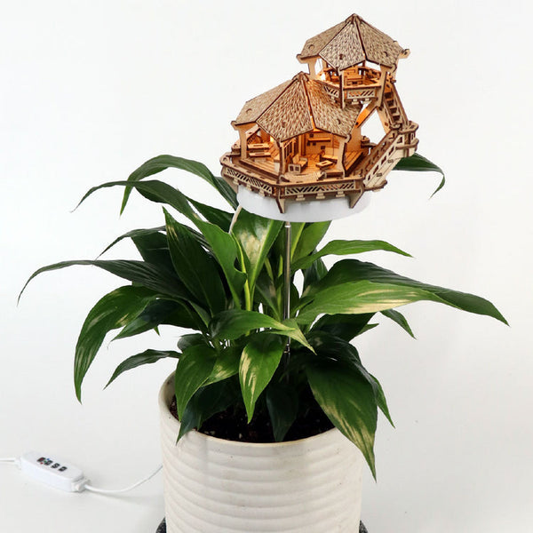 Island Cabana & Light Kit