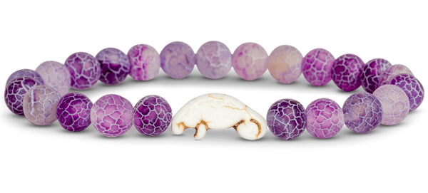Manatee Tracking Bracelet