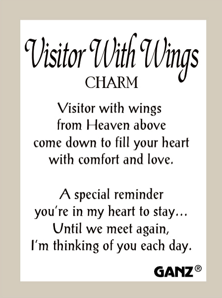 Visitor With Wings Charm