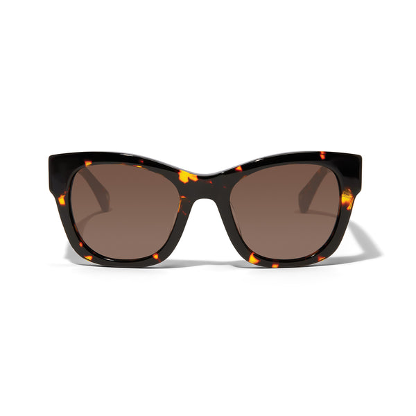 Contempo Medallion Sunglasses