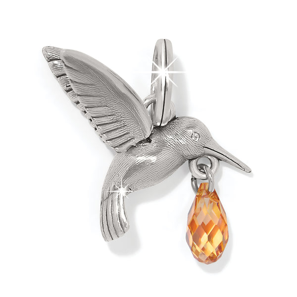 Hummingbird Delight Charm
