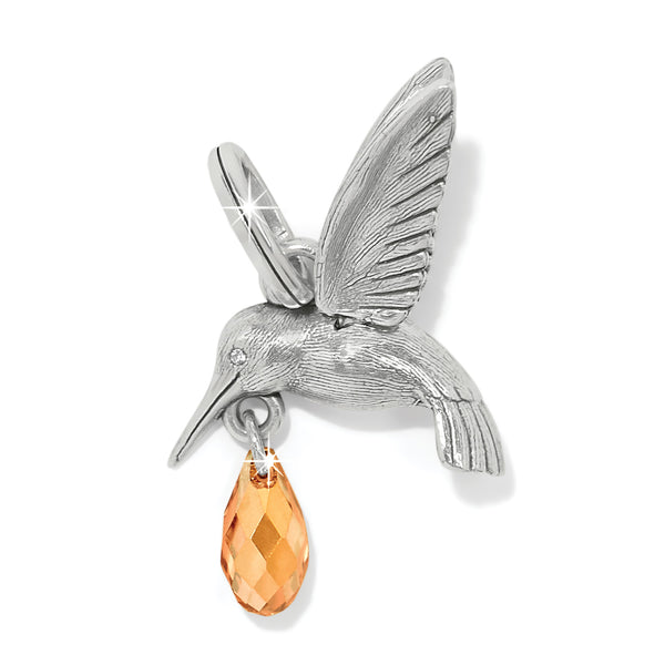 Hummingbird Delight Charm