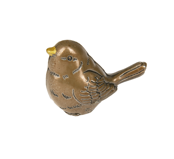 Little Worry Bird