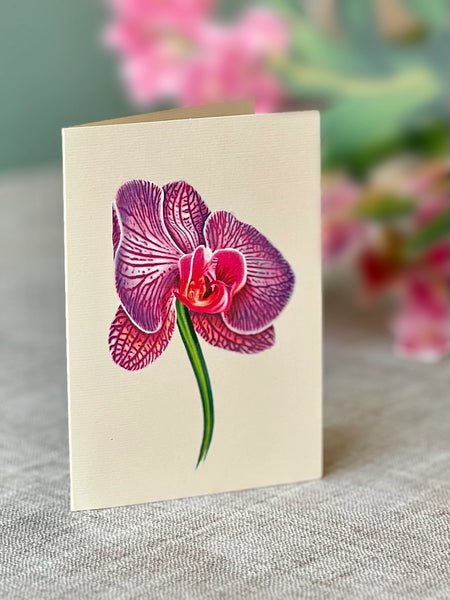 Orchid Oasis Card