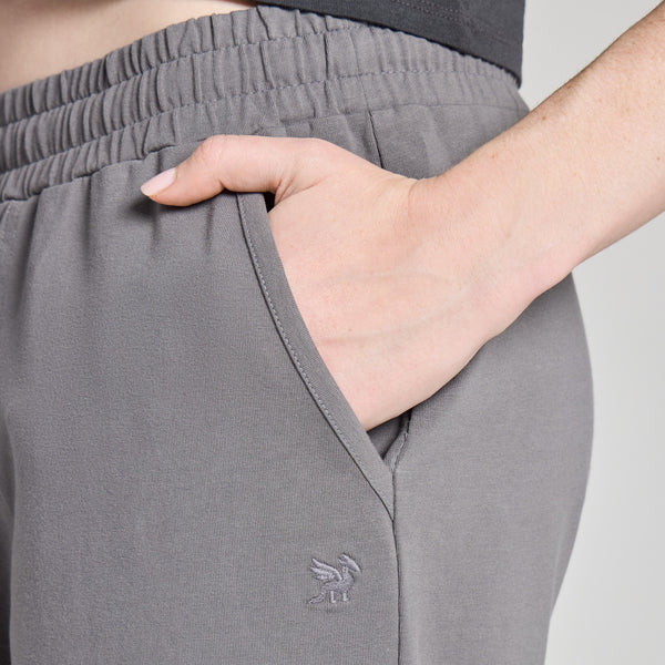 Flex Pant Iron Gray