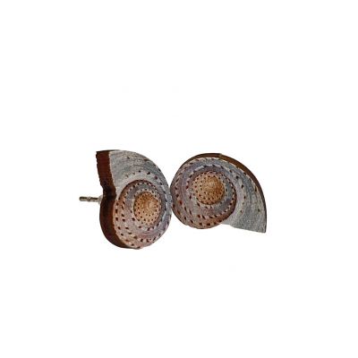 Shell Stud Earrings