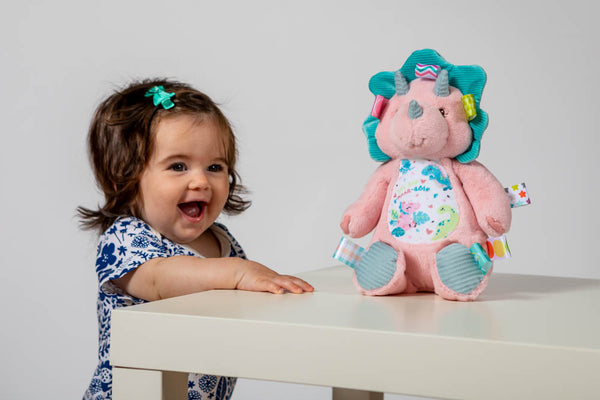 Aroar-a-saurus Taggie Toy