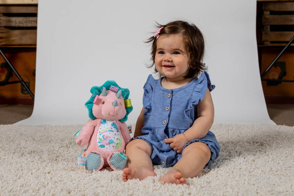 Aroar-a-saurus Taggie Toy