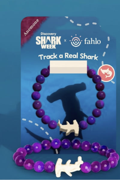 Hammerhead Tracking Bracelet