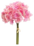 Pink Hydrangeas