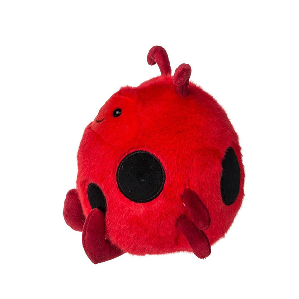 Rolly Lady Bug