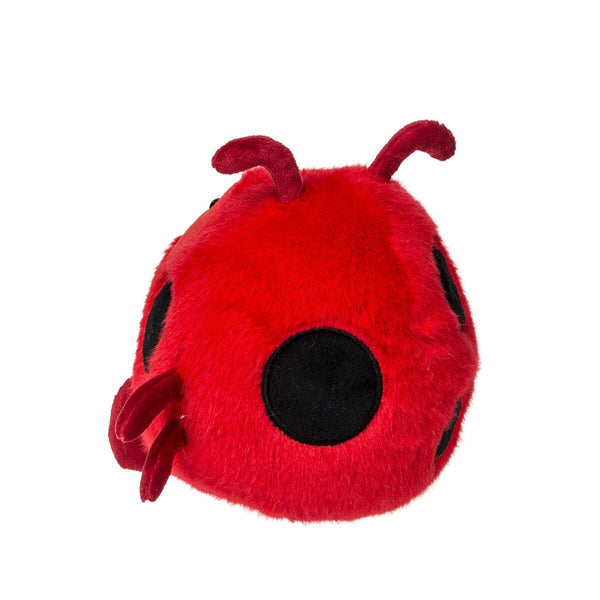 Rolly Lady Bug