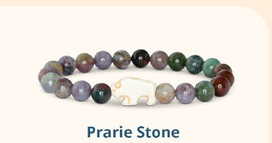 Bison Tracking Bracelet