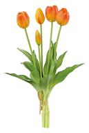 Orange Tulips