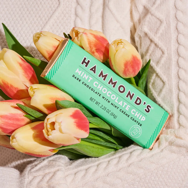 Mint Chocolate Chip Bar