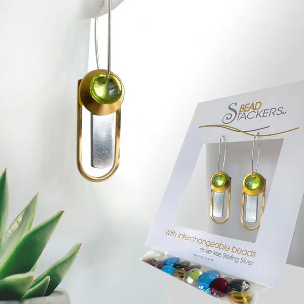 Interchangeable 2 Tone Earrings