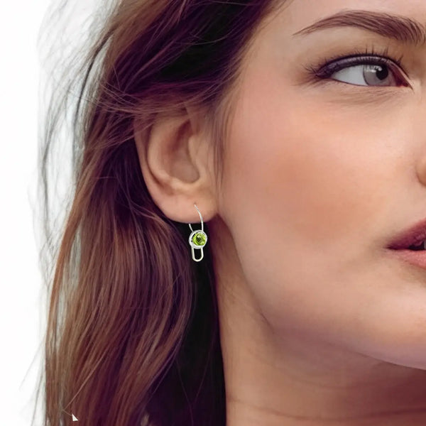 Interchangeable Loop Earrings