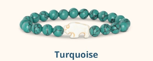 Bison Tracking Bracelet