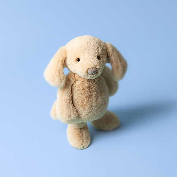Bashful Luxe Orlando Puppy