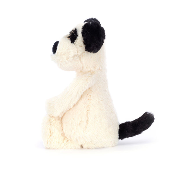 Rufferty Puppy