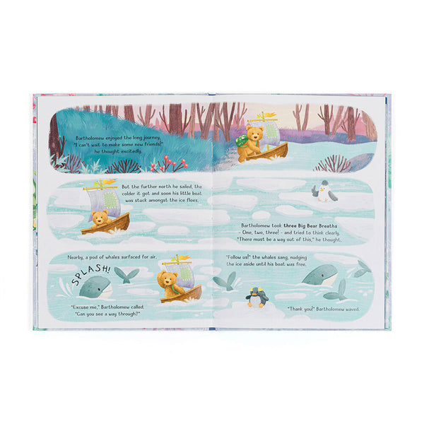 Bartholomew Bear & Snow Book