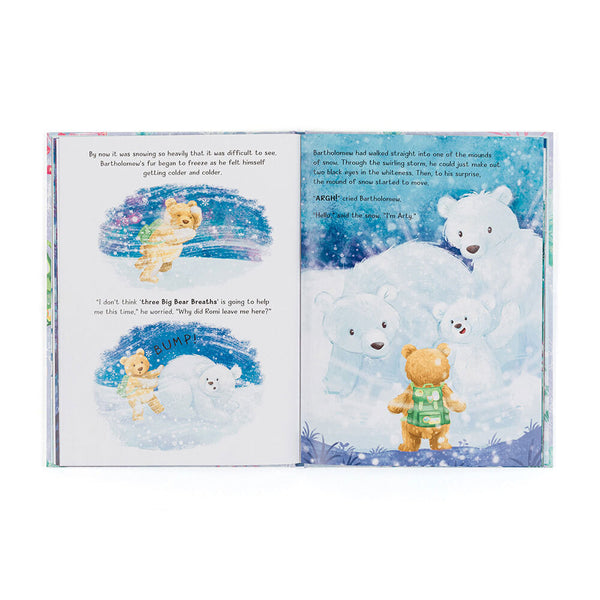 Bartholomew Bear & Snow Book