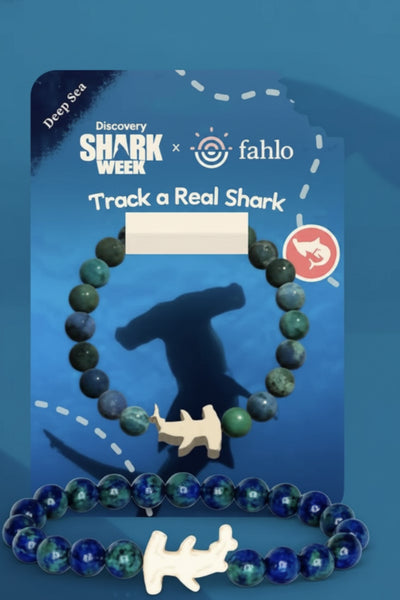 Hammerhead Tracking Bracelet