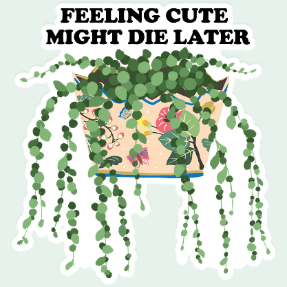 Feeling Cute Sticker