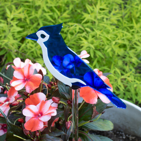 Blue Jay Garden Stake