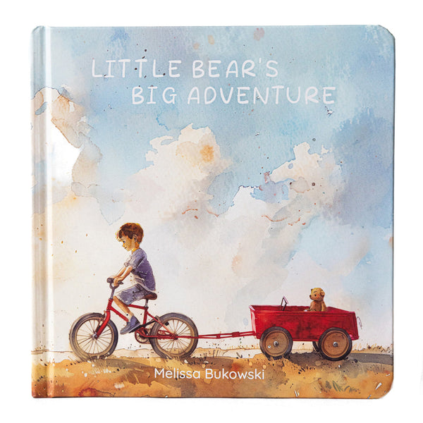 Little Bear's Adventure Book