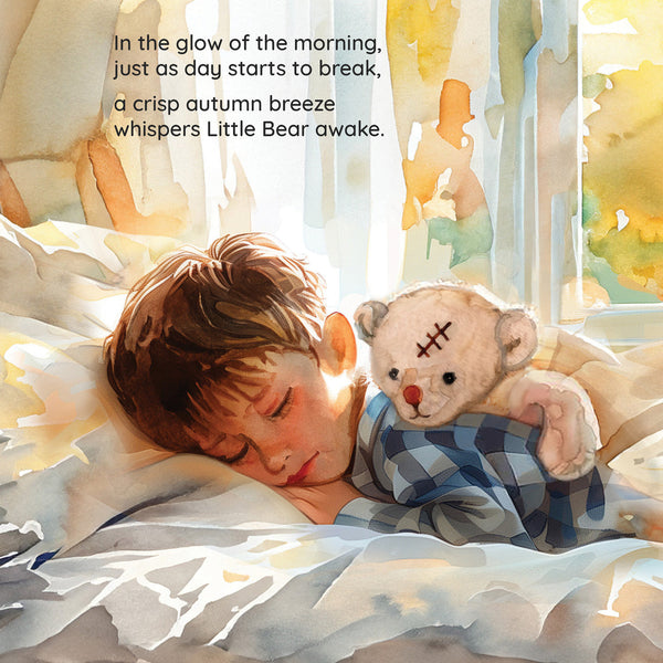 Little Bear's Adventure Book