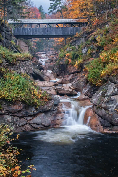 Covered Bridge Puzzle