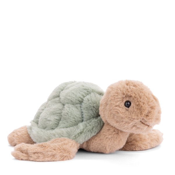 Baby Sandy Sea Turtle