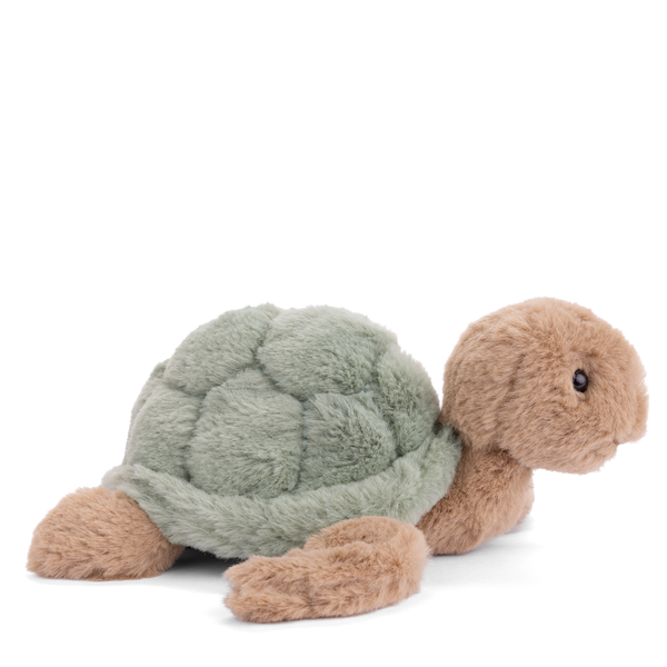 Baby Sandy Sea Turtle
