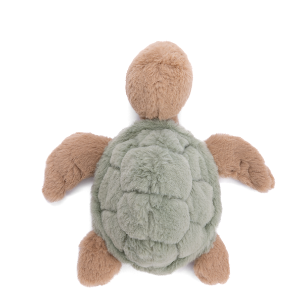 Baby Sandy Sea Turtle