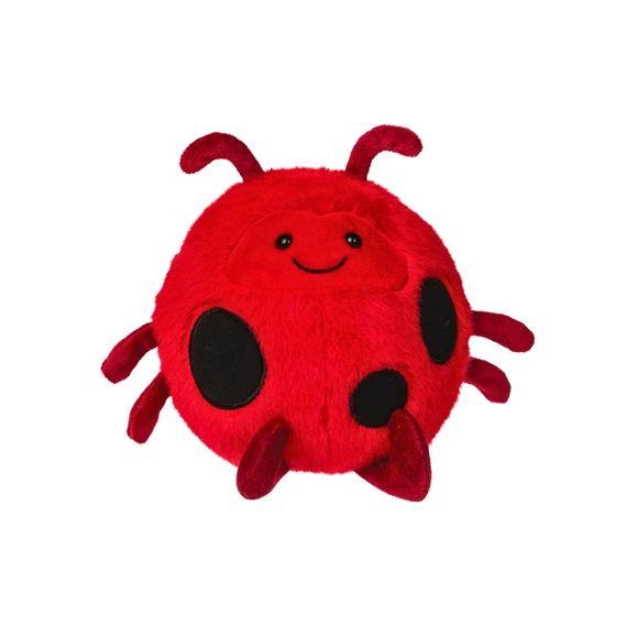 Rolly Lady Bug