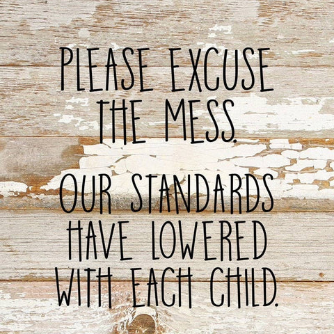 Please Excuse The Mess Sign