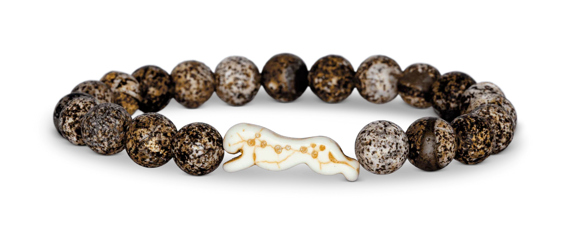 Cheetah Tracking Bracelet