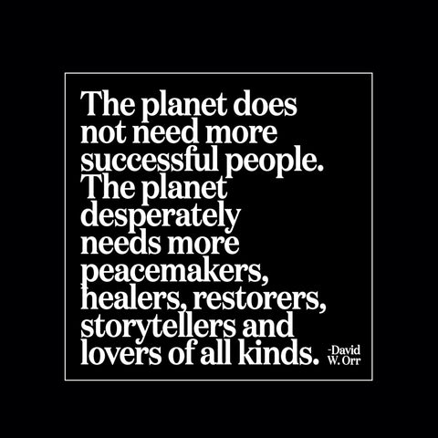 The Planet Needs Magnets