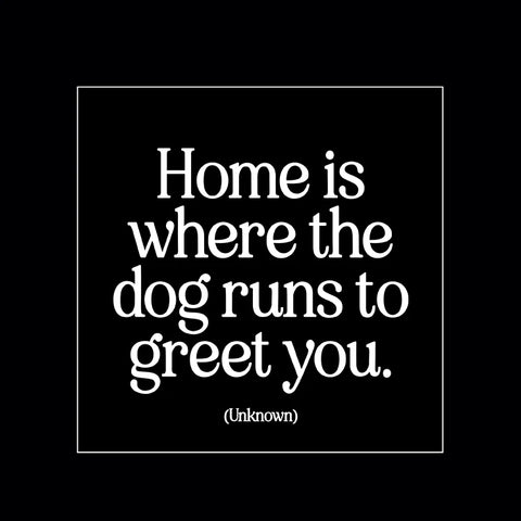 Home Is Magnet