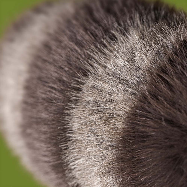Trixiwoo Racoon