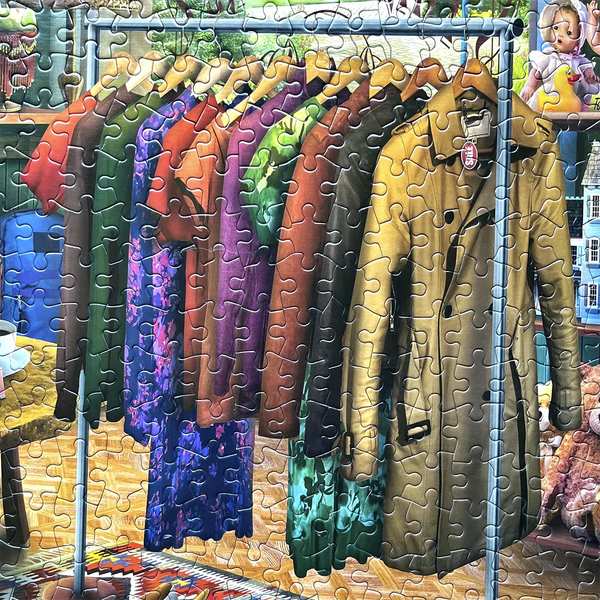 Thrift Store Puzzle