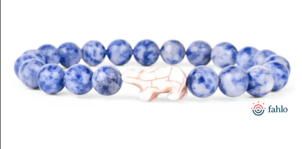 Polar Bear Tracking Bracelet
