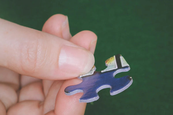 The Hardware Store Puzzle